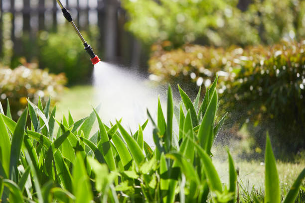 24/7 Emergency Fumigation Services experts in Edgewood, WA