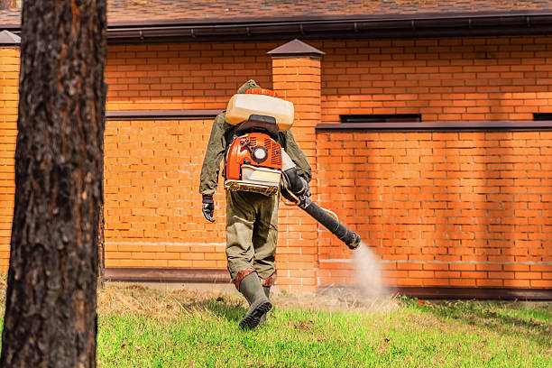 Trusted Emergency Pest Control service in Edgewood, WA - Nex Pest Control